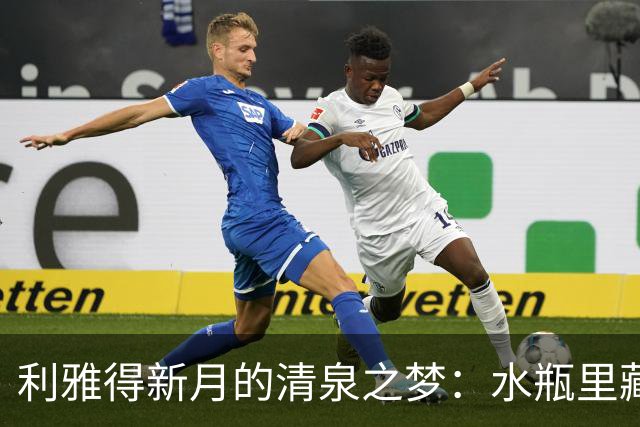 利雅得新月的清泉之梦：水瓶里藏着俱乐部的故事