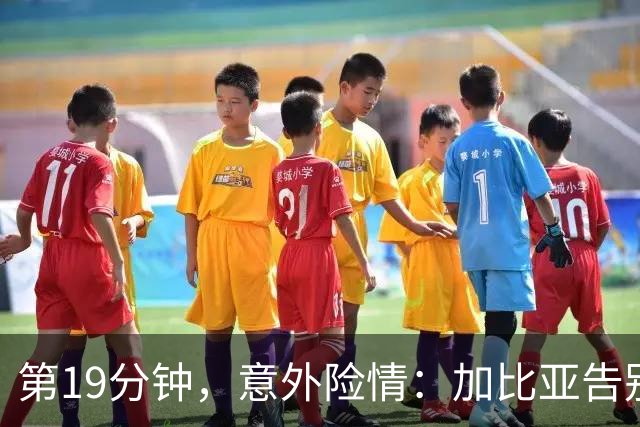 第19分钟，意外险情：加比亚告别赛场，德温特逆袭上场